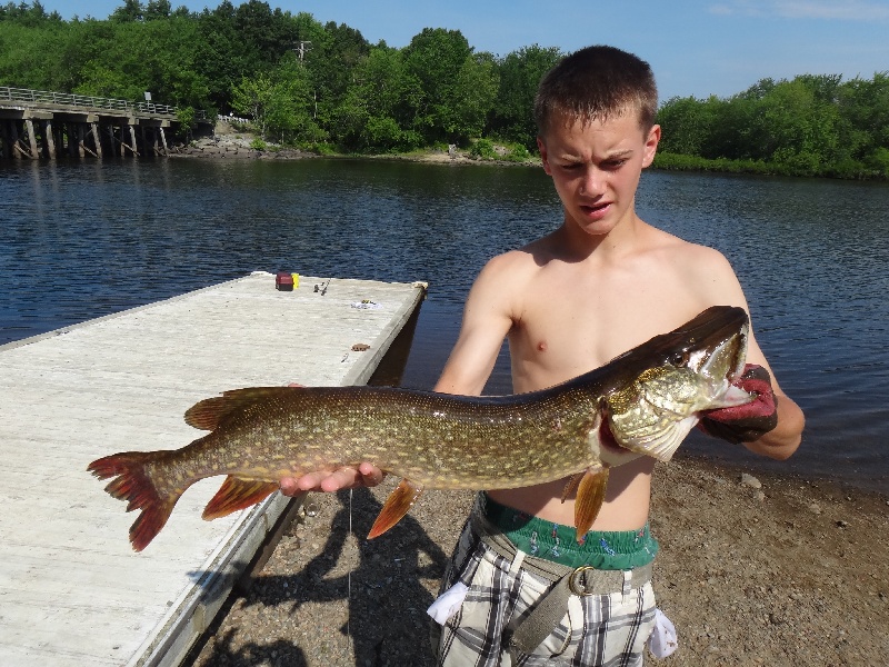 first northern pike