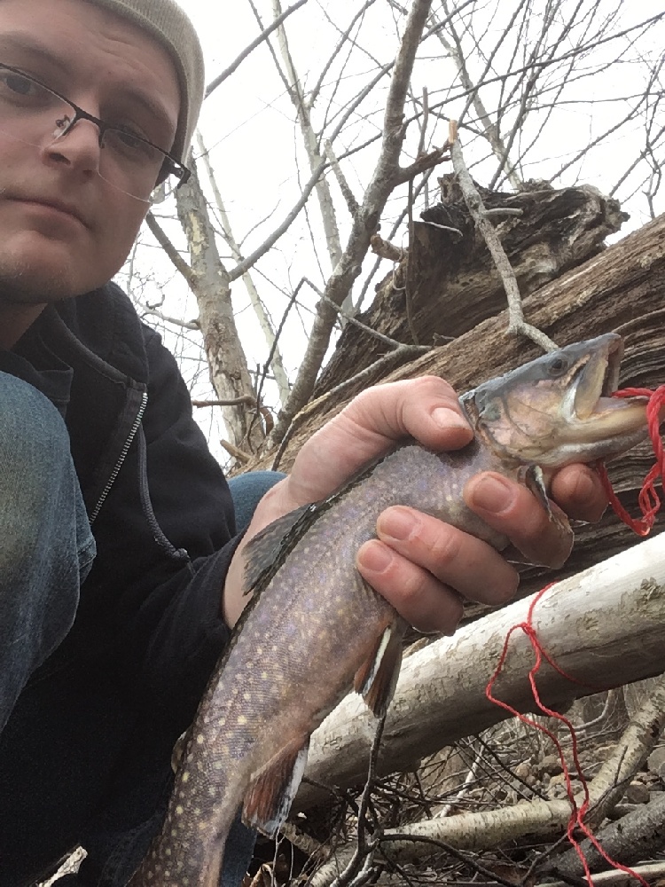 Nice brook trout
