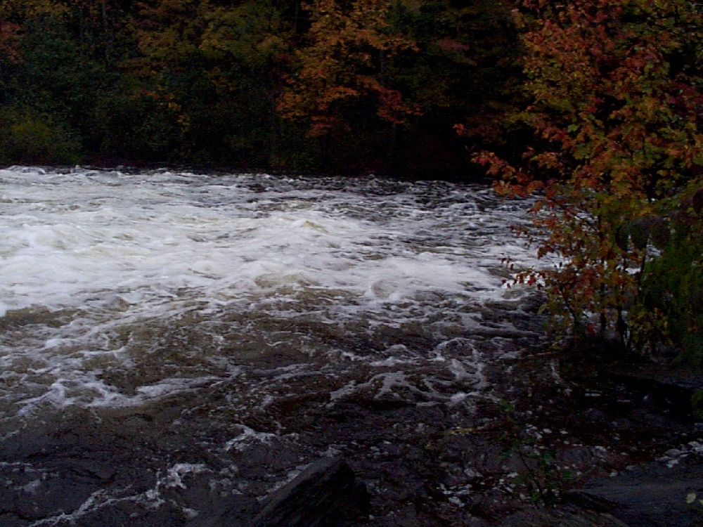 salmon falls river