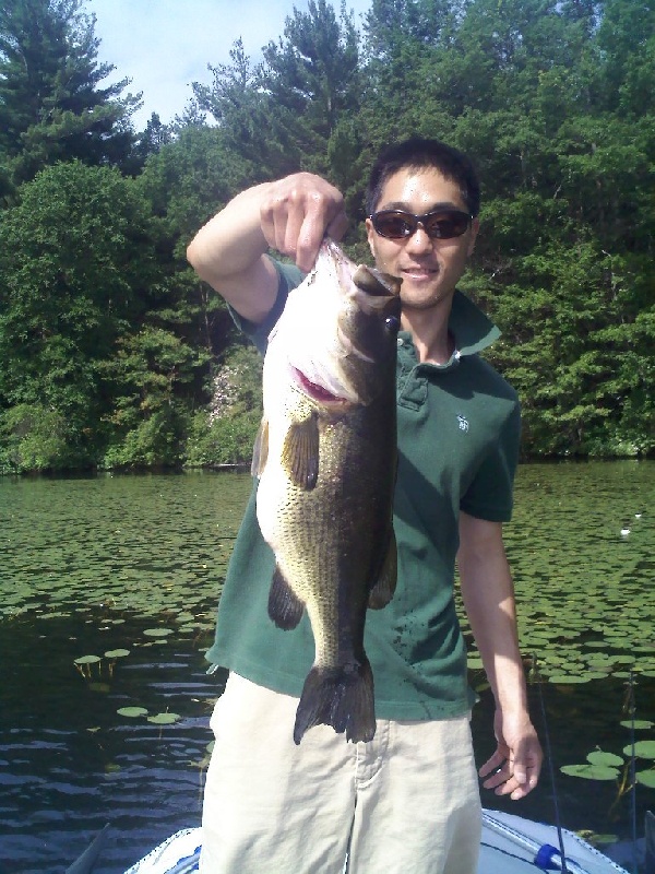 4.8 on the frog