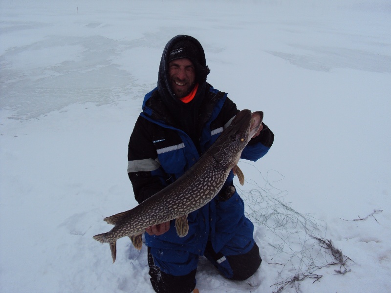PIKE 37 IN 14.5