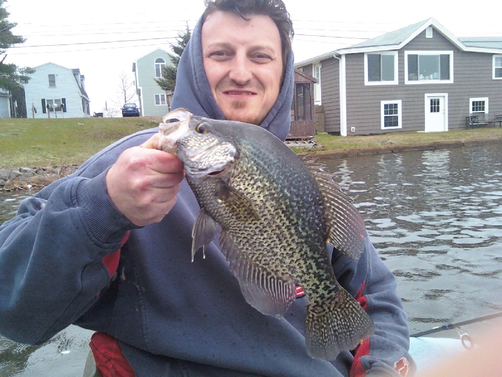 GOLD PIN CRAPPIE!!