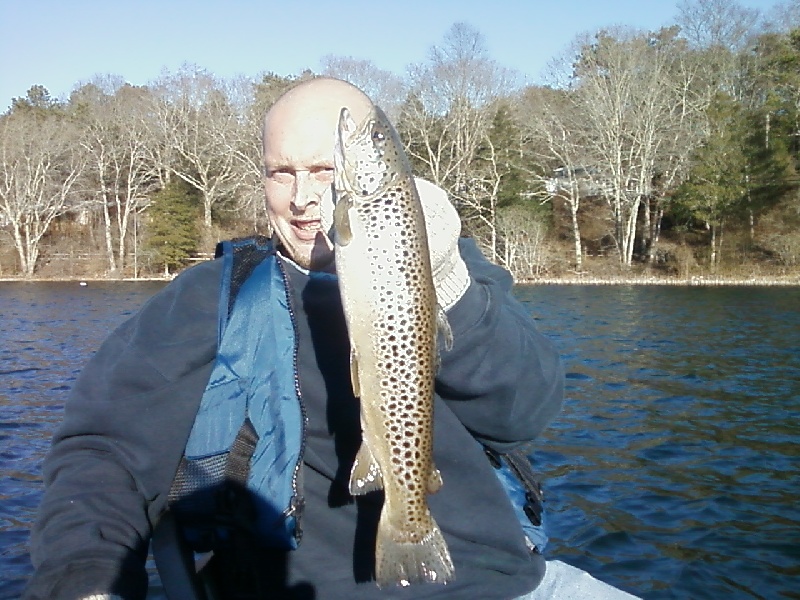 2lbs + brown trout