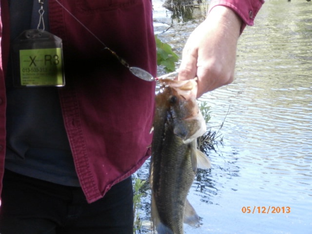 Nice Bass at a small pond