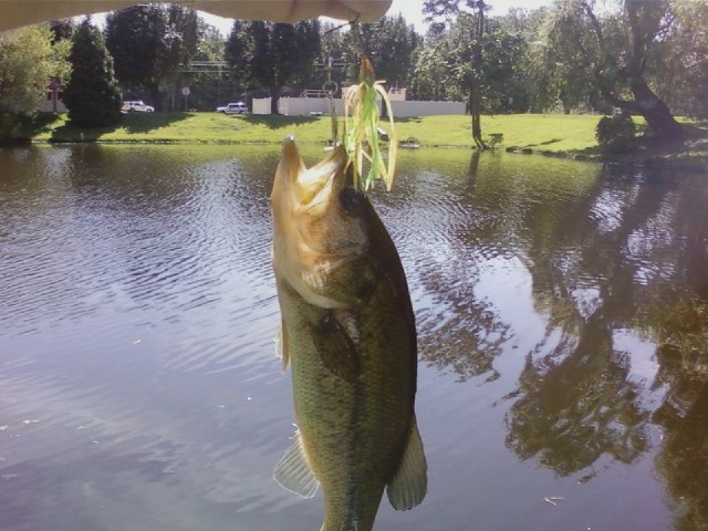 Bass #2 elbo lane pond