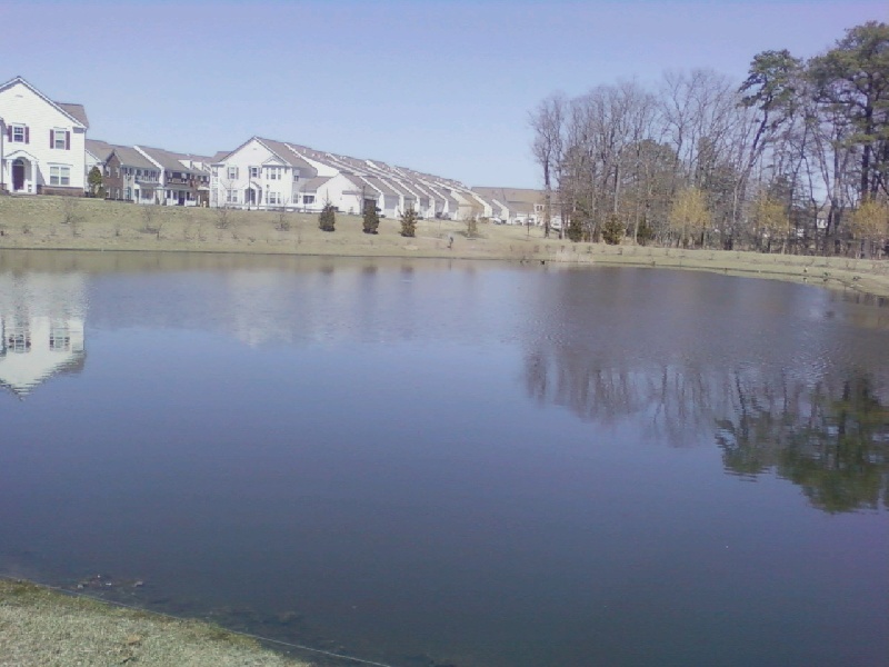picture of the small lake in voorhees 