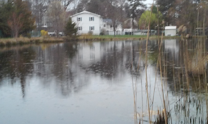 small pond we went to tuesday pm