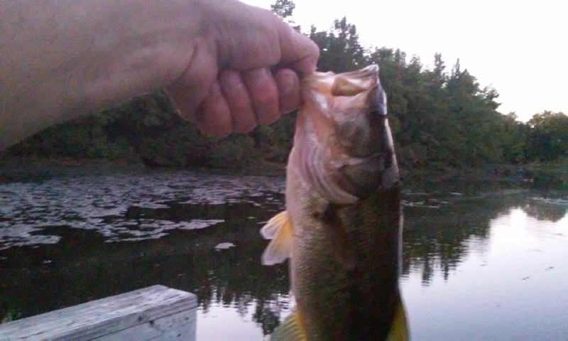 grenloch lake bass#2
