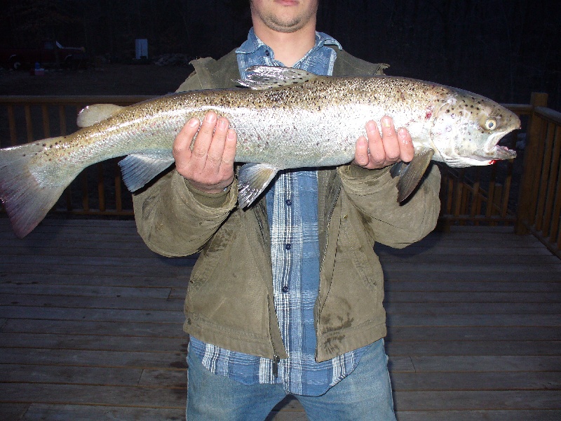 Salmon, Naugy River 3-08