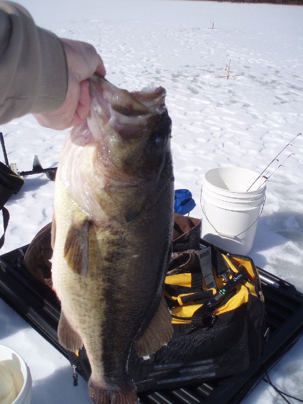 Big Bass Ice Fishing