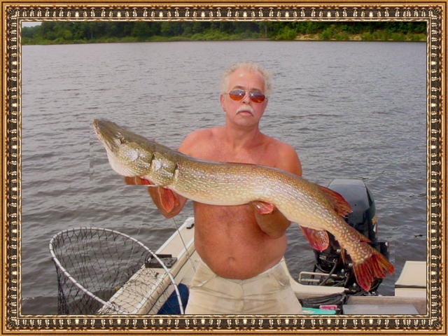 38 inch Pike -Mansfield