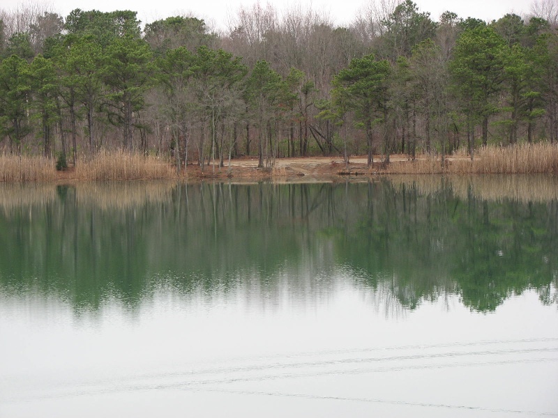 Oak Pond