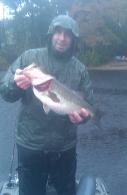 6.0lber in the pouring rain