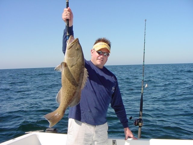 Monster Grouper Gulf of Mexico