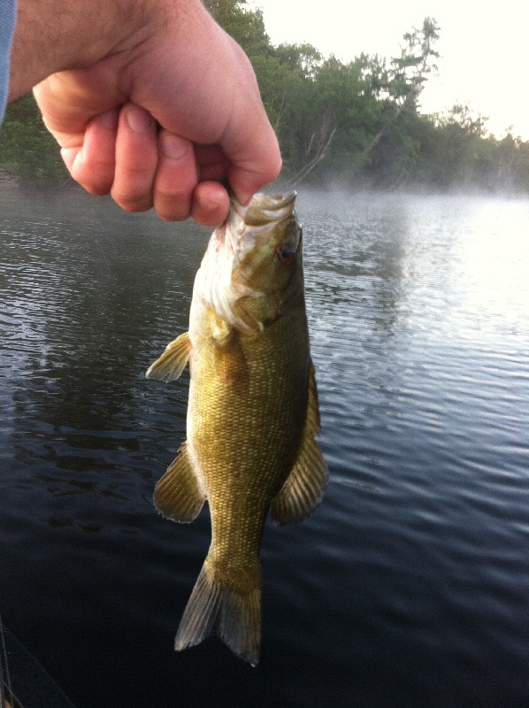 Catchin Smallies in the Early Morning Mist