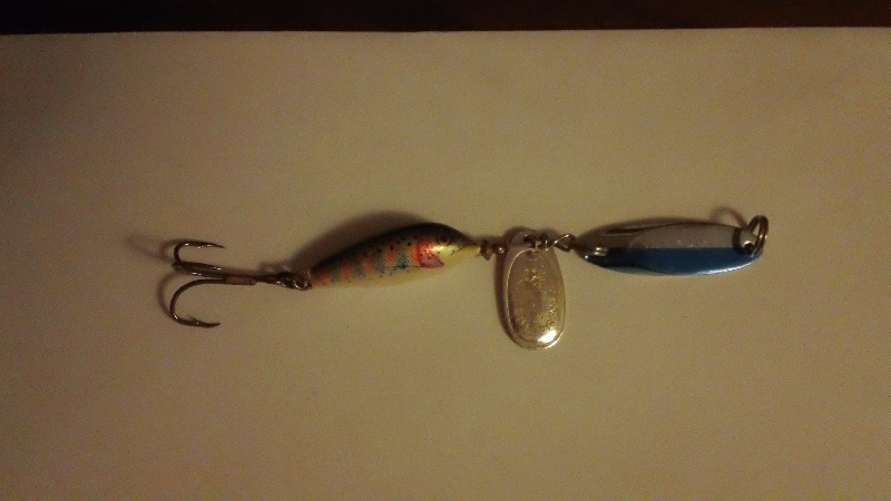 Blue Fox Minnow Spin with Kastmaster flasher
