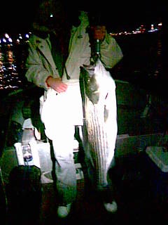 stipper bass night fishing