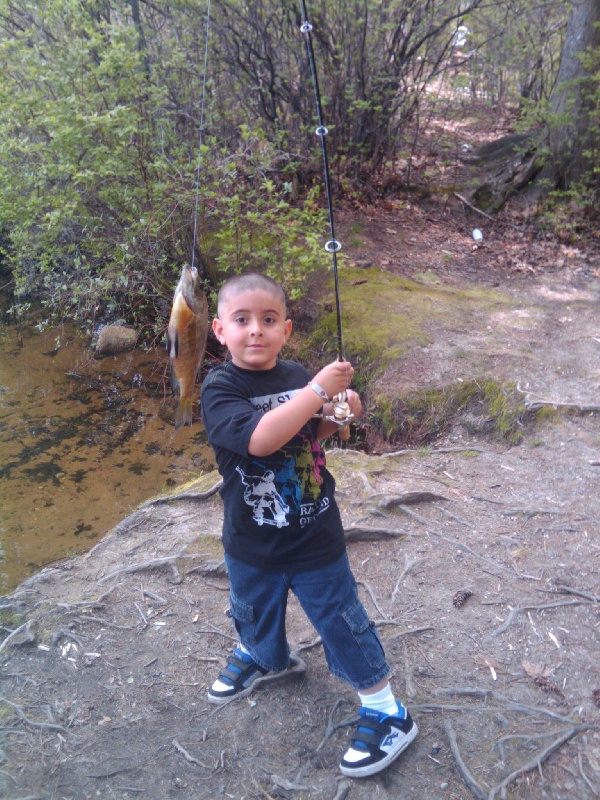 My son Hector's catches