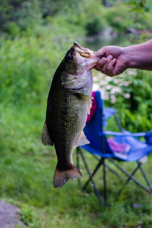 Camping/Fishing @ Benedict Pond