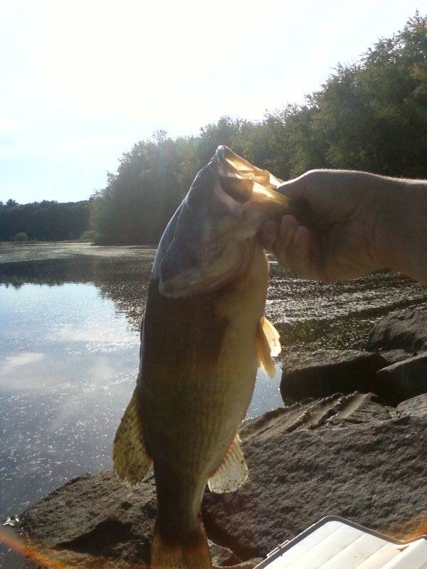 Large Largey on the Concord River!