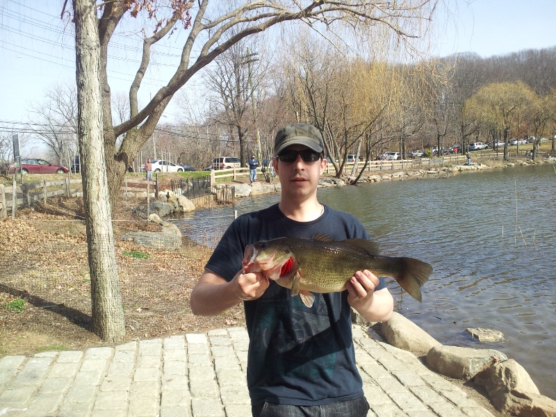 another nyc bass