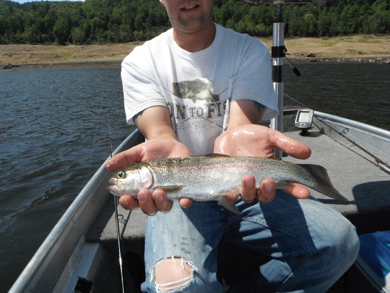 Colebrook River Res Rainbow Trout