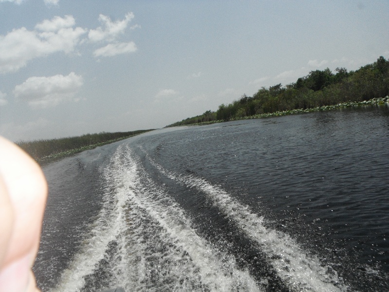 Everglades