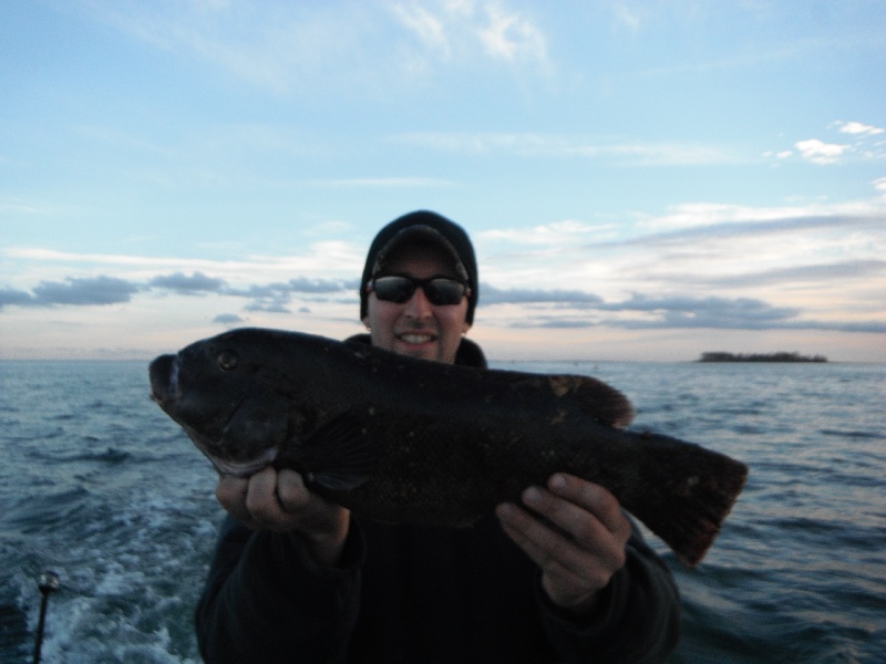 7.8lb Blackfish