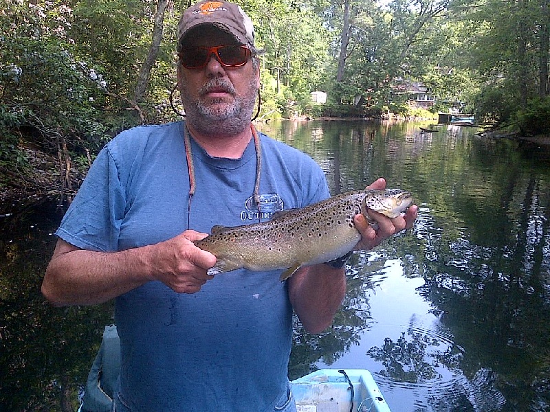 Brown Trout 6/23/13