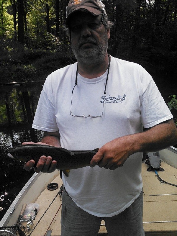 Brown Trout   7/13/14