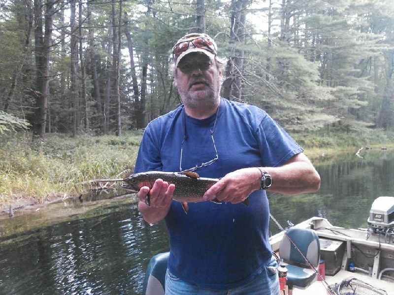 Another Brook Trout