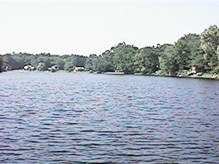 Nine Mile Pond