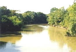 Cache River
