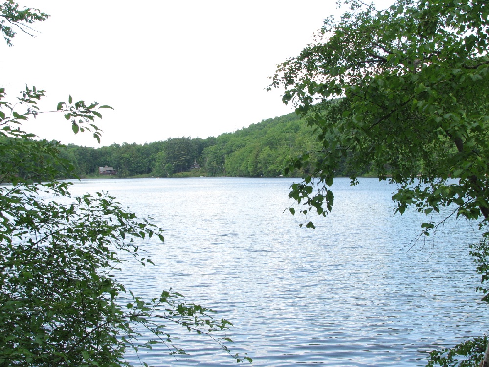 Ashfield Pond