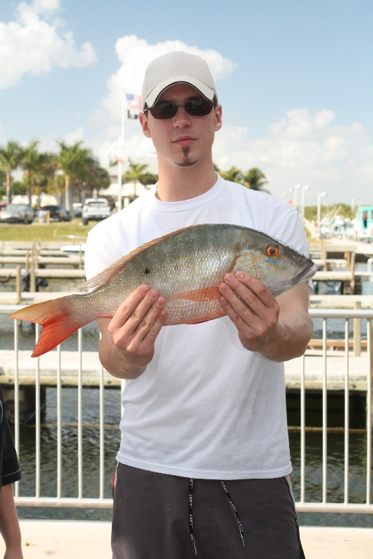Mutton Snapper 6lbs