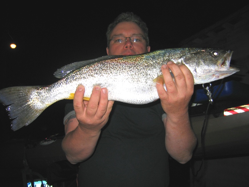 CT, WEAKFISH
