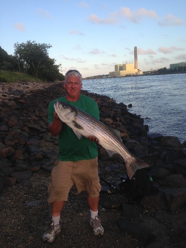 Cape Cod Canal Stripers