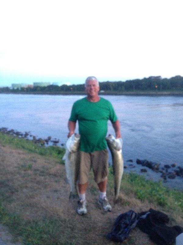 Cape Cod Canal Stripers