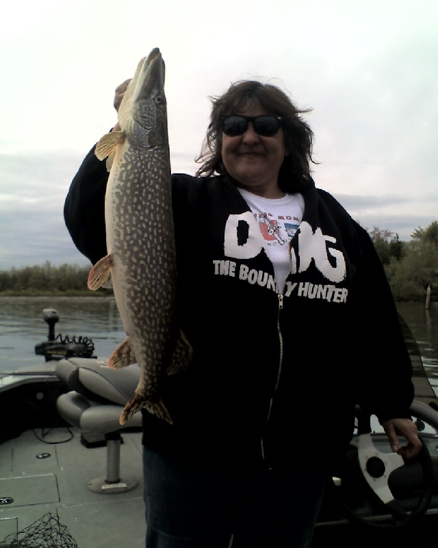 1st pike of the season near Orchard Park