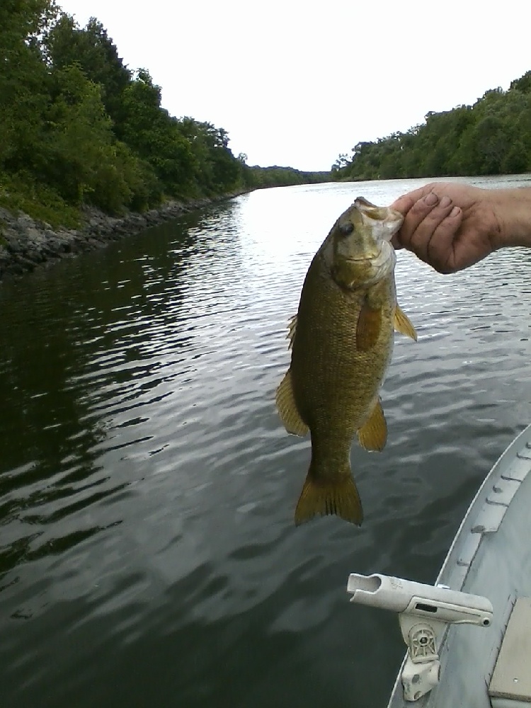 Fishing near Clinton