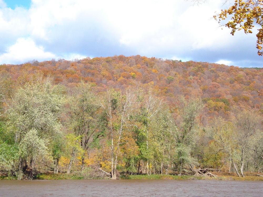 Delaware River near Callicoon