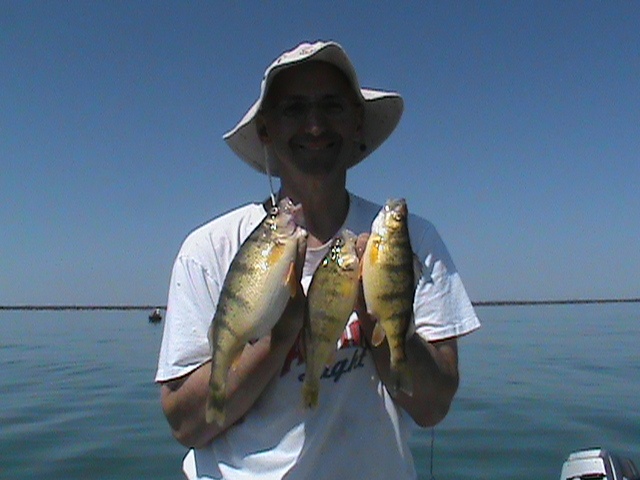 Jumbo Perch Lake Erie