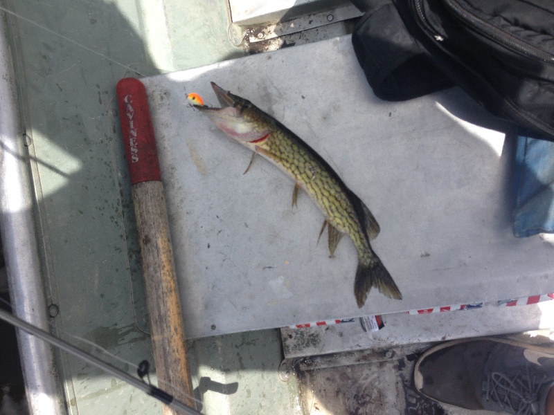 Monticello fishing photo 2