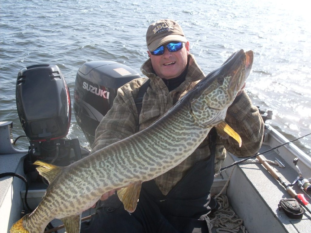 ESOX TIGER 