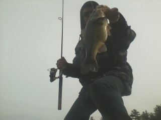 3lb1oz