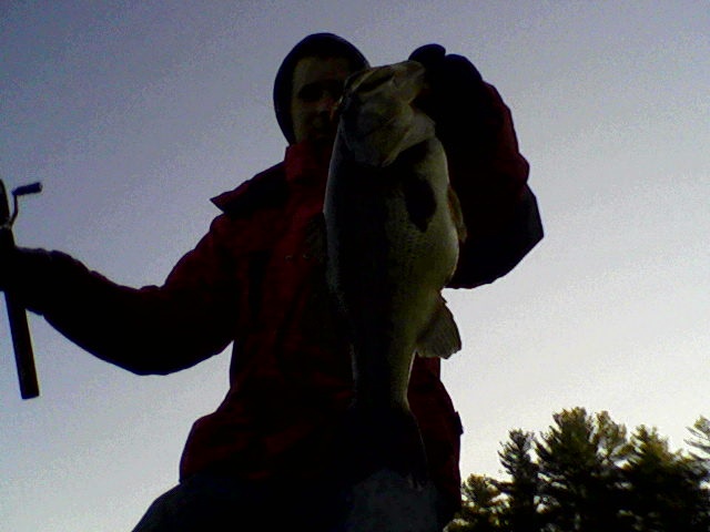 5lb 11oz