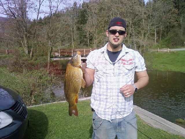 Carp near Lisle