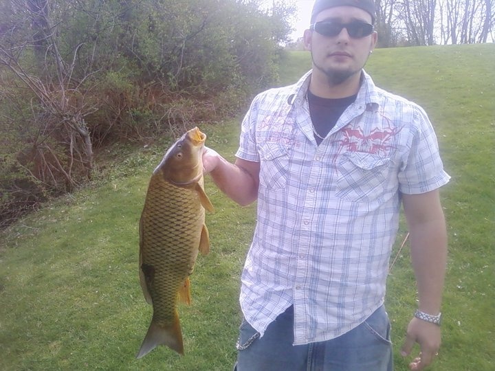 Carp near Northeast Ithaca