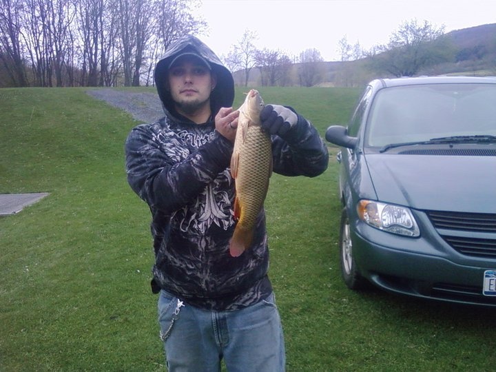 Carp near Whitney Point