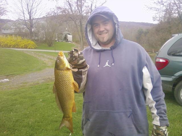 Carp near Whitney Point